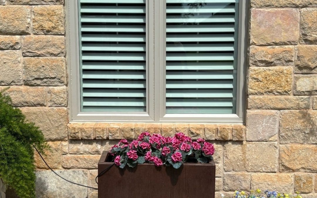 Clear Views Again: A Five-Star JELD-WEN Upgrade for a Returning Customer