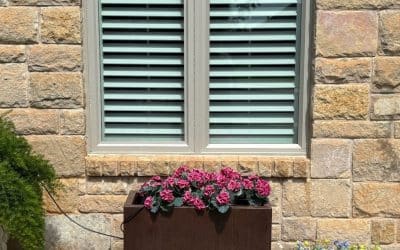 Clear Views Again: A Five-Star JELD-WEN Upgrade for a Returning Customer